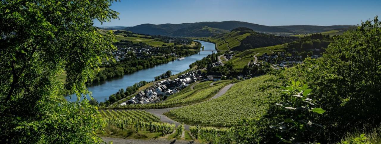 Wein- Und Gaestehaus Genetsch Lieser Luaran gambar