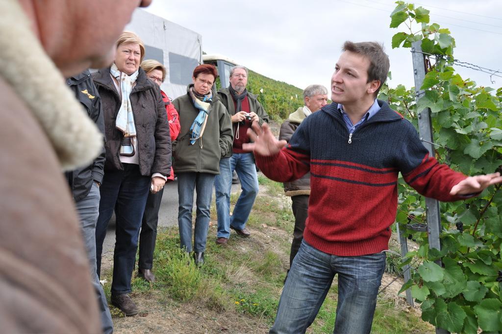 Wein- Und Gaestehaus Genetsch Lieser Luaran gambar