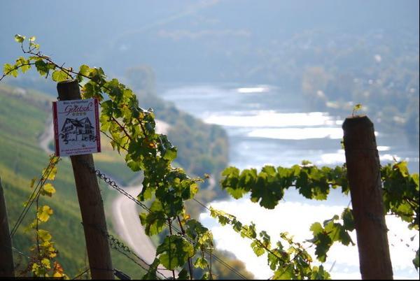Wein- Und Gaestehaus Genetsch Lieser Luaran gambar