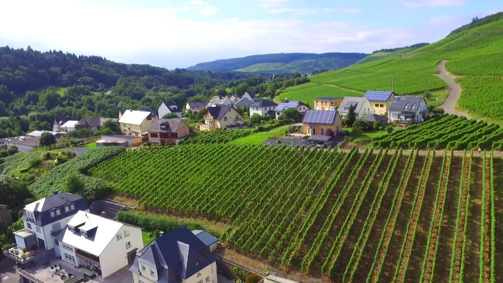 Wein- Und Gaestehaus Genetsch Lieser Luaran gambar