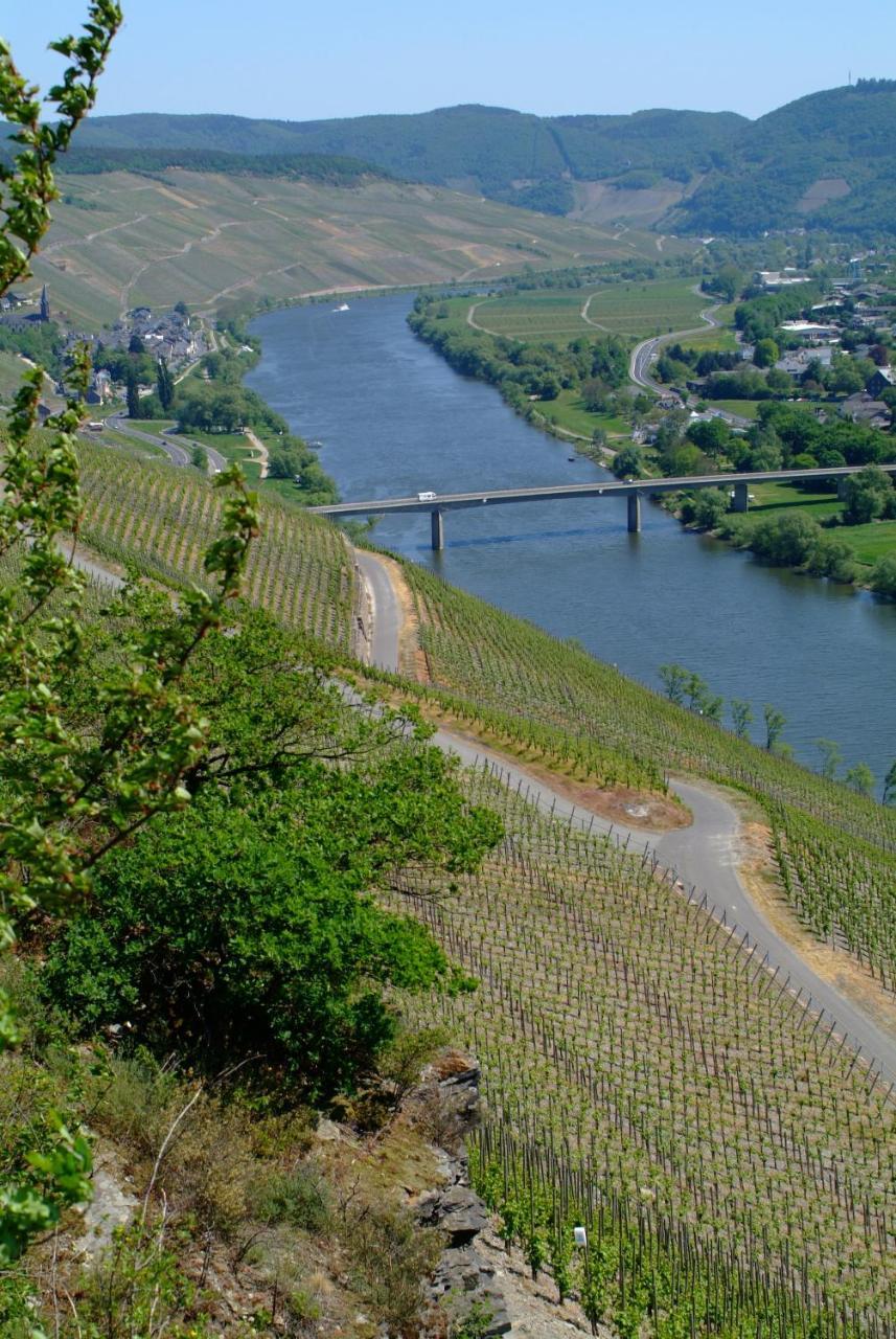 Wein- Und Gaestehaus Genetsch Lieser Luaran gambar