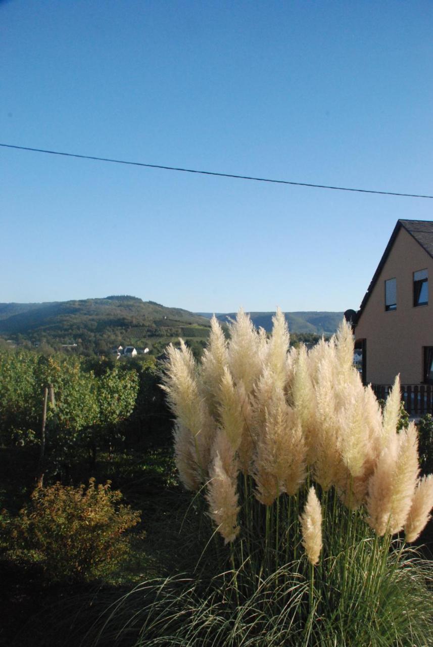 Wein- Und Gaestehaus Genetsch Lieser Luaran gambar