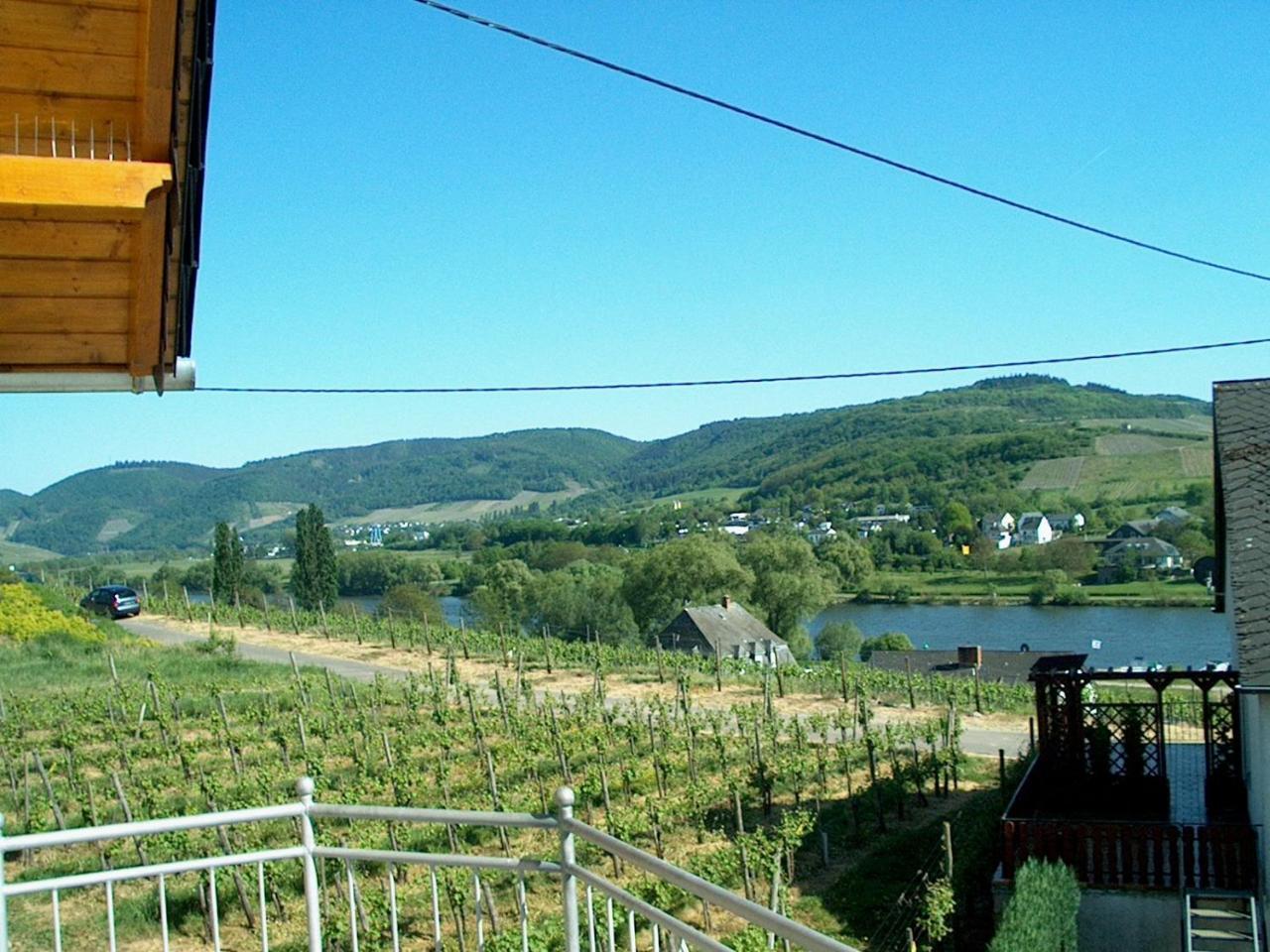 Wein- Und Gaestehaus Genetsch Lieser Luaran gambar