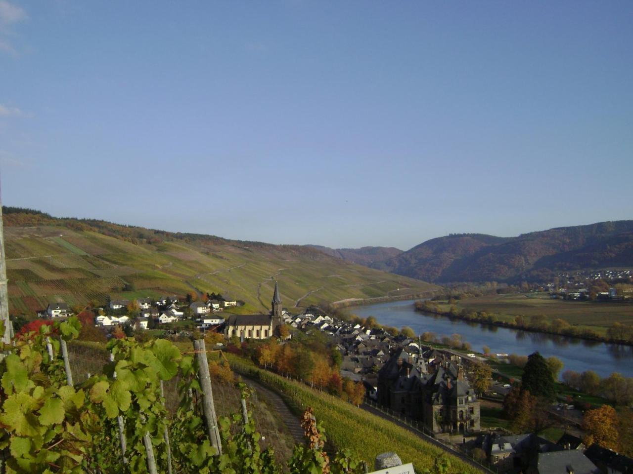Wein- Und Gaestehaus Genetsch Lieser Luaran gambar