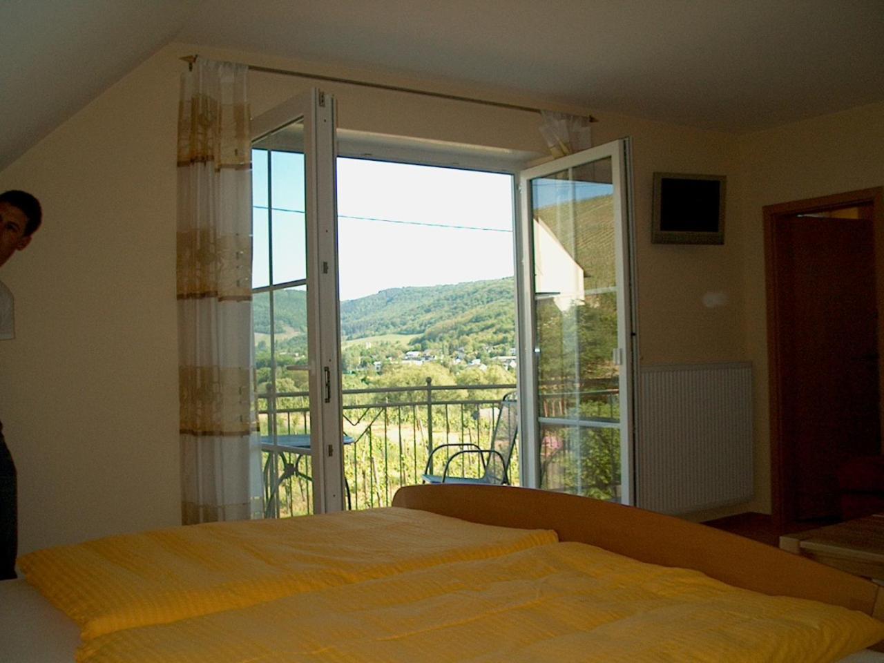 Wein- Und Gaestehaus Genetsch Lieser Luaran gambar