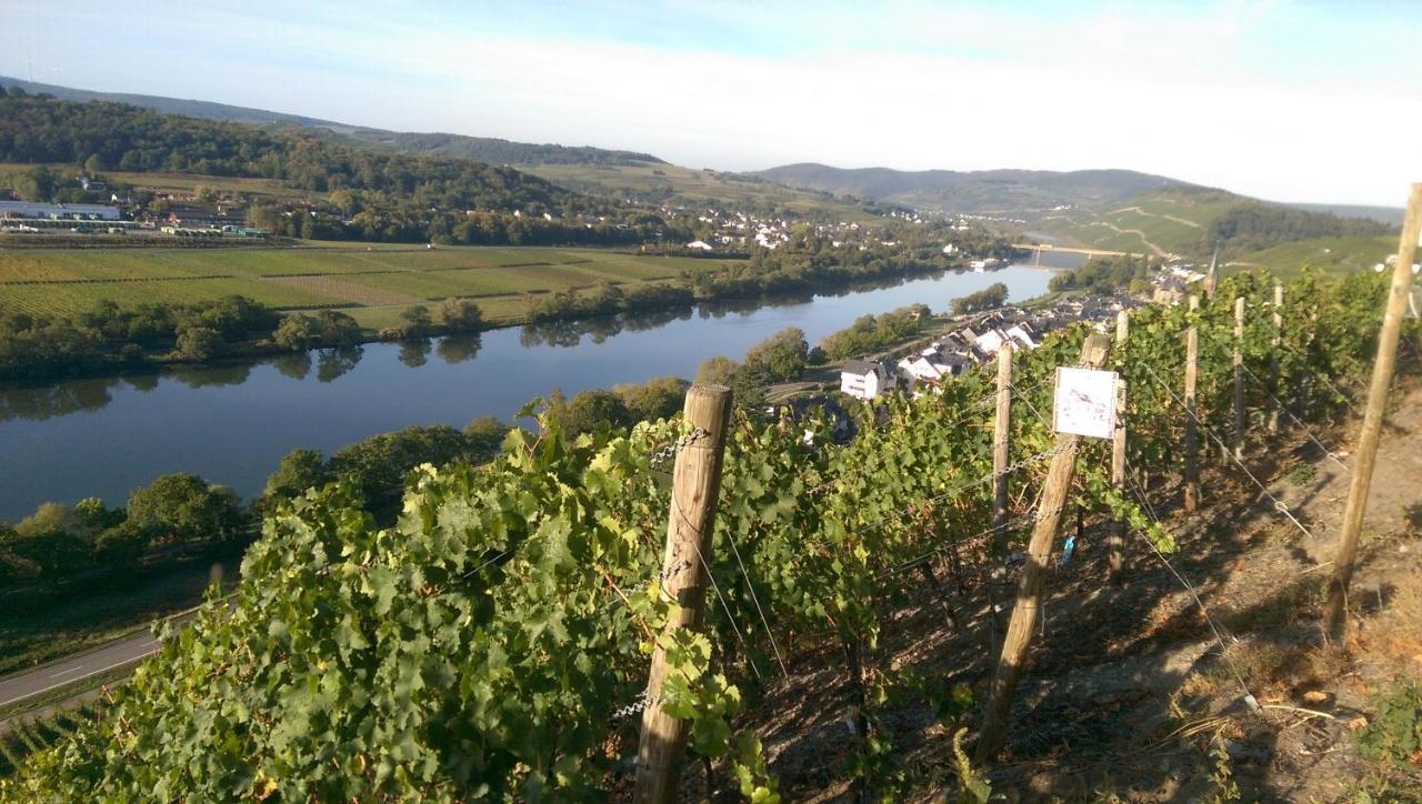 Wein- Und Gaestehaus Genetsch Lieser Luaran gambar