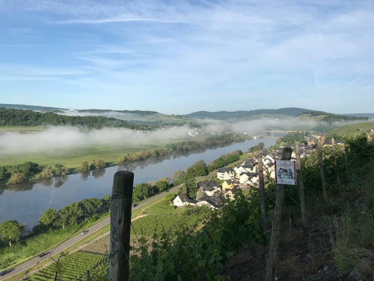 Wein- Und Gaestehaus Genetsch Lieser Luaran gambar